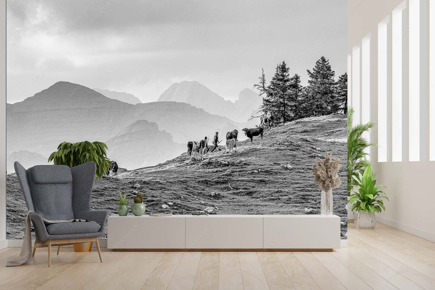 Heile Welt – Größe ca. 300x200cm, Seitenverhältnis 3:2 — Almwirtschaft im Estergebirge Weidevieh im Spätsommer auf der Kuhalm mit Blick auf Soiern- und Karwendelgebirge - Heile Welt - Größe ca. 300x200cm, Seitenverhältnis 3:2 - Almwirtschaft im Estergebirge - weitere Infos unter https://www.kriner-weiermann.de