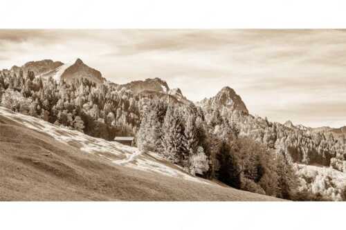 Ahorn mit Blick auf Alpspitz, Zugspitz und Waxenstein - Herbstliches Zugspitzmassiv II - Seitenverhältnis 2:1 - Buckelwiesen am Wamberg - weitere Infos unter https://www.kriner-weiermann.de