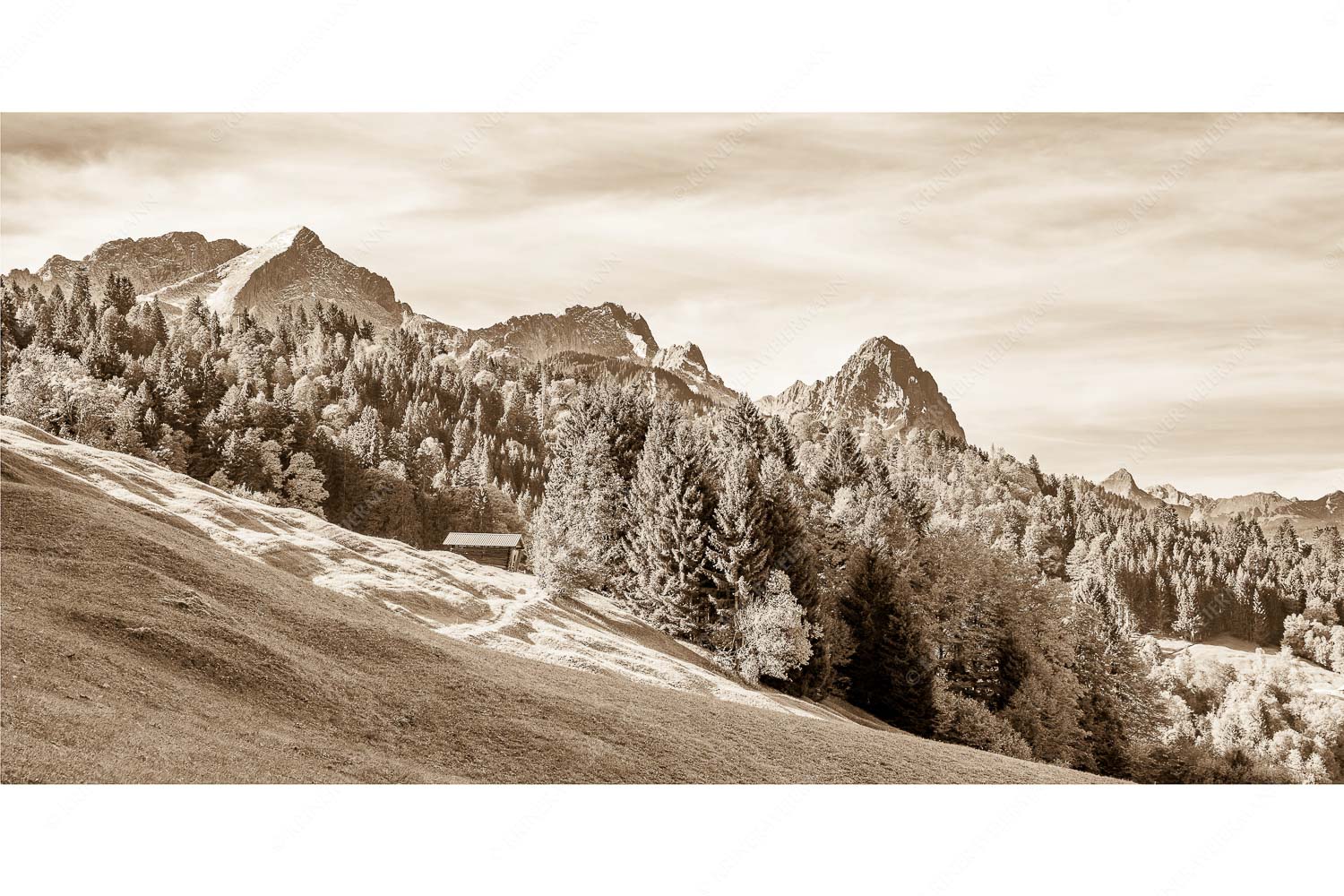 Ahorn mit Blick auf Alpspitz, Zugspitz und Waxenstein - Herbstliches Zugspitzmassiv II - Seitenverhältnis 2:1 - Buckelwiesen am Wamberg - weitere Infos unter https://www.kriner-weiermann.de