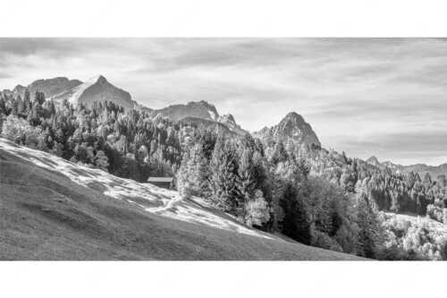 Ahorn mit Blick auf Alpspitz, Zugspitz und Waxenstein - Herbstliches Zugspitzmassiv II - Seitenverhältnis 2:1 - Buckelwiesen am Wamberg - weitere Infos unter https://www.kriner-weiermann.de