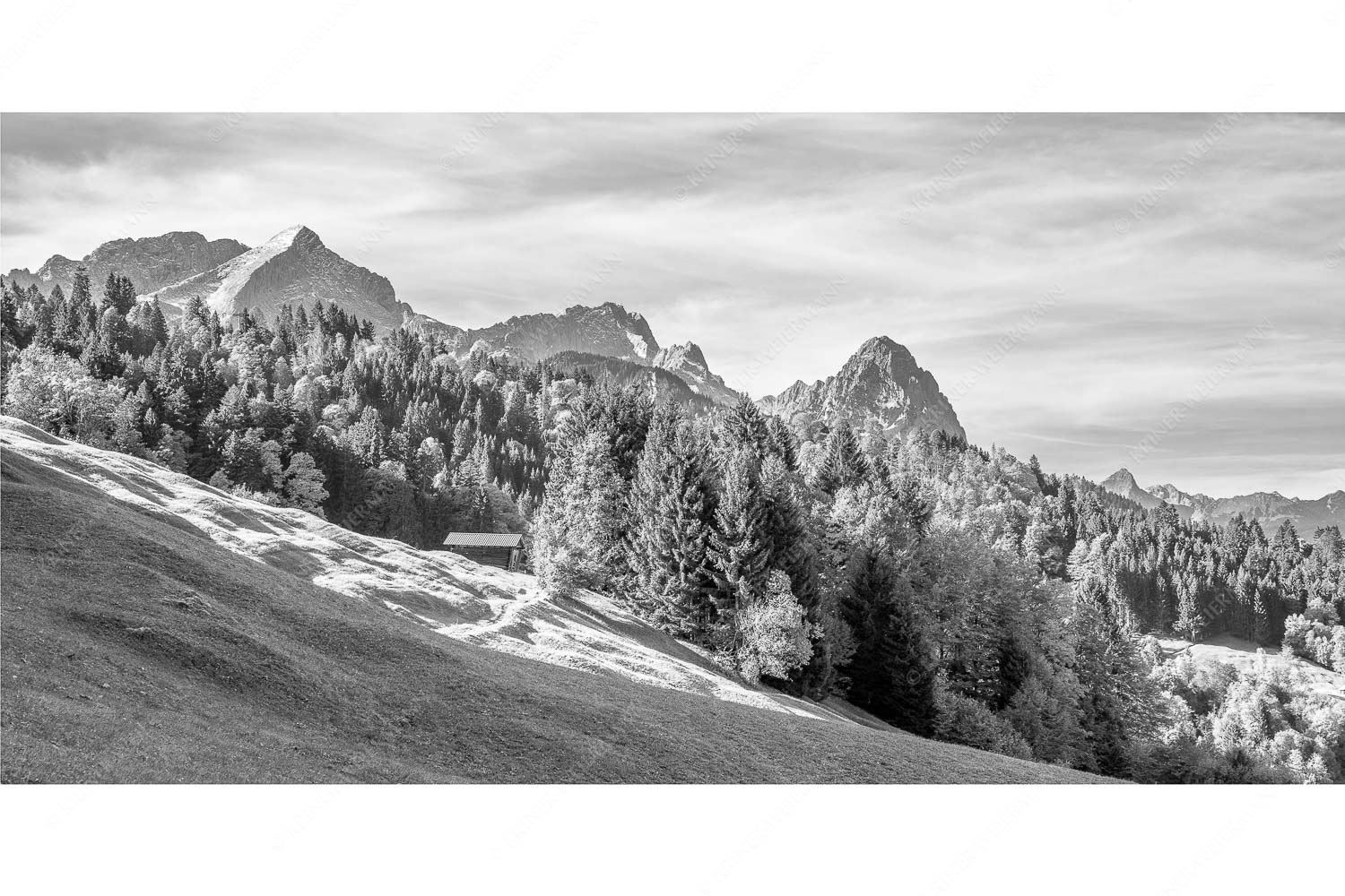 Ahorn mit Blick auf Alpspitz, Zugspitz und Waxenstein - Herbstliches Zugspitzmassiv II - Seitenverhältnis 2:1 - Buckelwiesen am Wamberg - weitere Infos unter https://www.kriner-weiermann.de