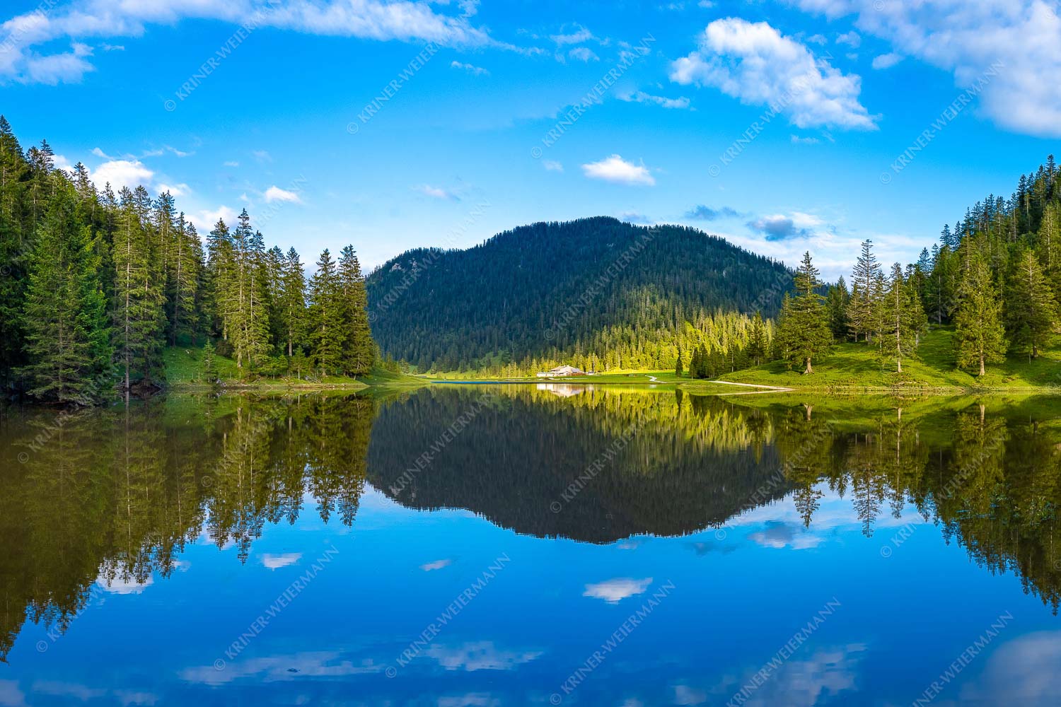Blick über Esterbergsee zur Esterbergalm