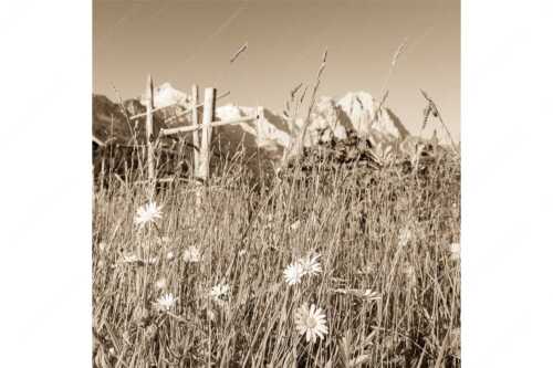 Wiesmahd in Garmisch-Partenkirchen mit Alpspitz und Waxenstein - Heuzeit - Seitenverhältnis 1:1 - Blumenwiese Stanker und Alpspitze - weitere Infos unter https://www.kriner-weiermann.de