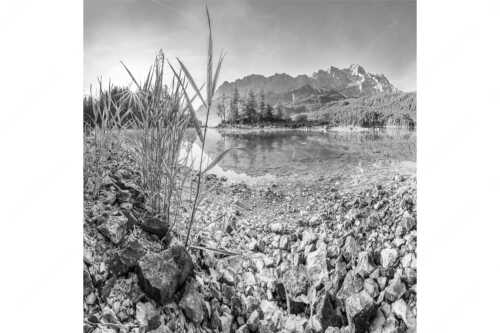Sonnenaufgang am Eibsee mit Blick zur Zugspitze - Hinterm Schilf - Seitenverhältnis 1:1 - Eibseeufer mit Zugspitze - weitere Infos unter https://www.kriner-weiermann.de