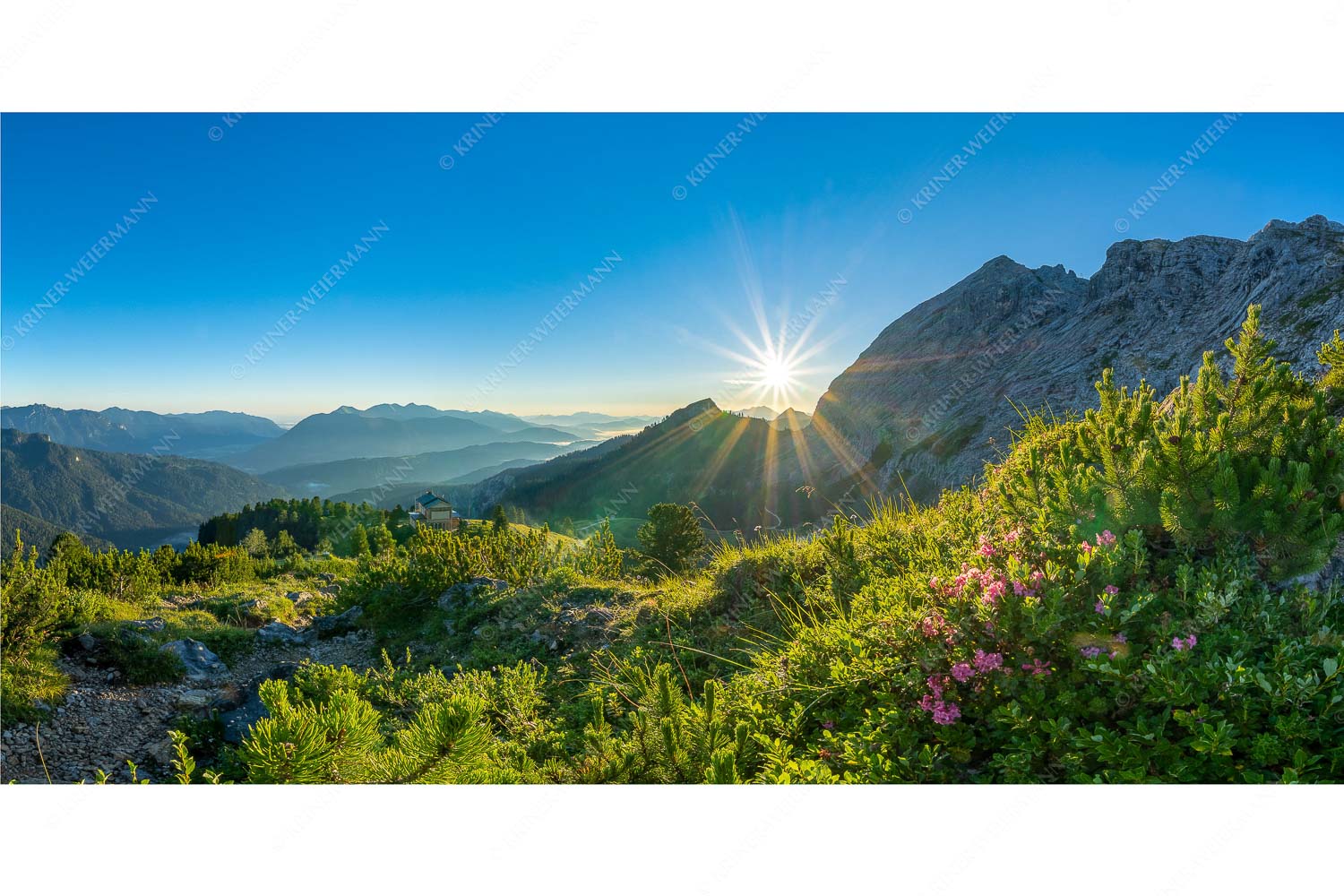 Schachenschloss mit Sonnenaufgang am Schachentor - Hinterm Schloss - Seitenverhältnis 2:1 - Almrosenblüte beim Schachenschloss - weitere Infos unter https://www.kriner-weiermann.de