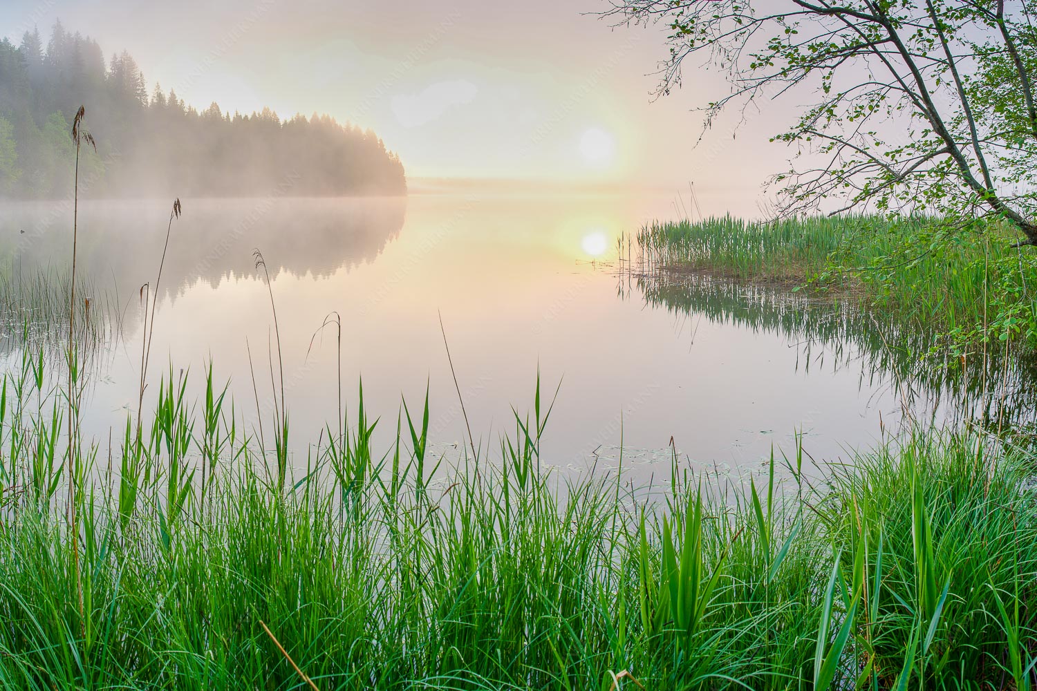 Morgenstimmung am Barmsee Westufer - Hinter´m See - Barmsee - weitere Infos bei <a href="https://www.kriner-weiermann.de">Kriner-Weiermann.de</a>