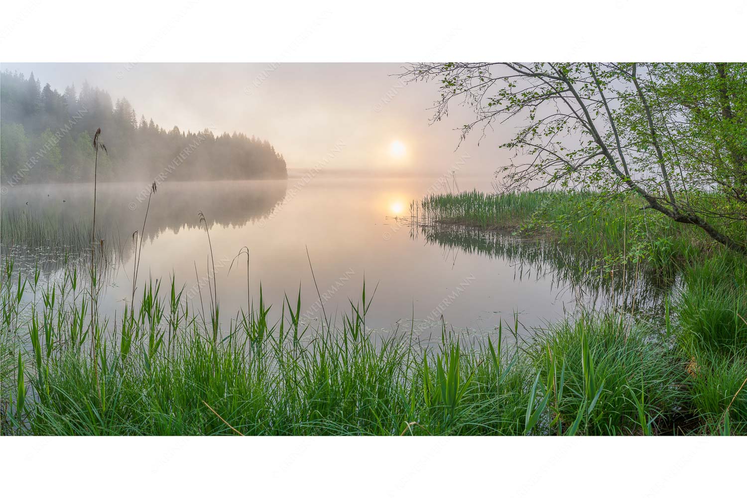 Hinterm See – Seitenverhältnis 2:1 — Nebelstimmung am Barmsee Morgentliche Nebelstimmung am Barmsee bei Krün