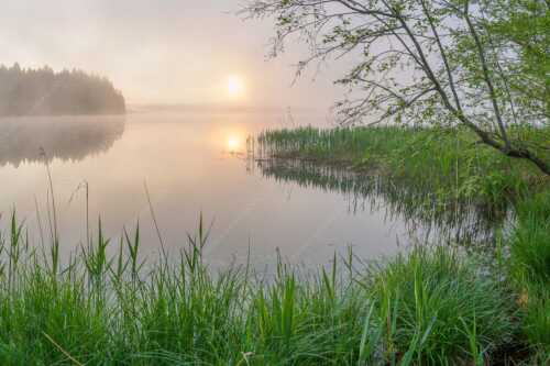 Morgentliche Nebelstimmung am Barmsee bei Krün - Hinterm See - Seitenverhältnis 3:2 - Nebelstimmung am Barmsee - weitere Infos unter https://www.kriner-weiermann.de