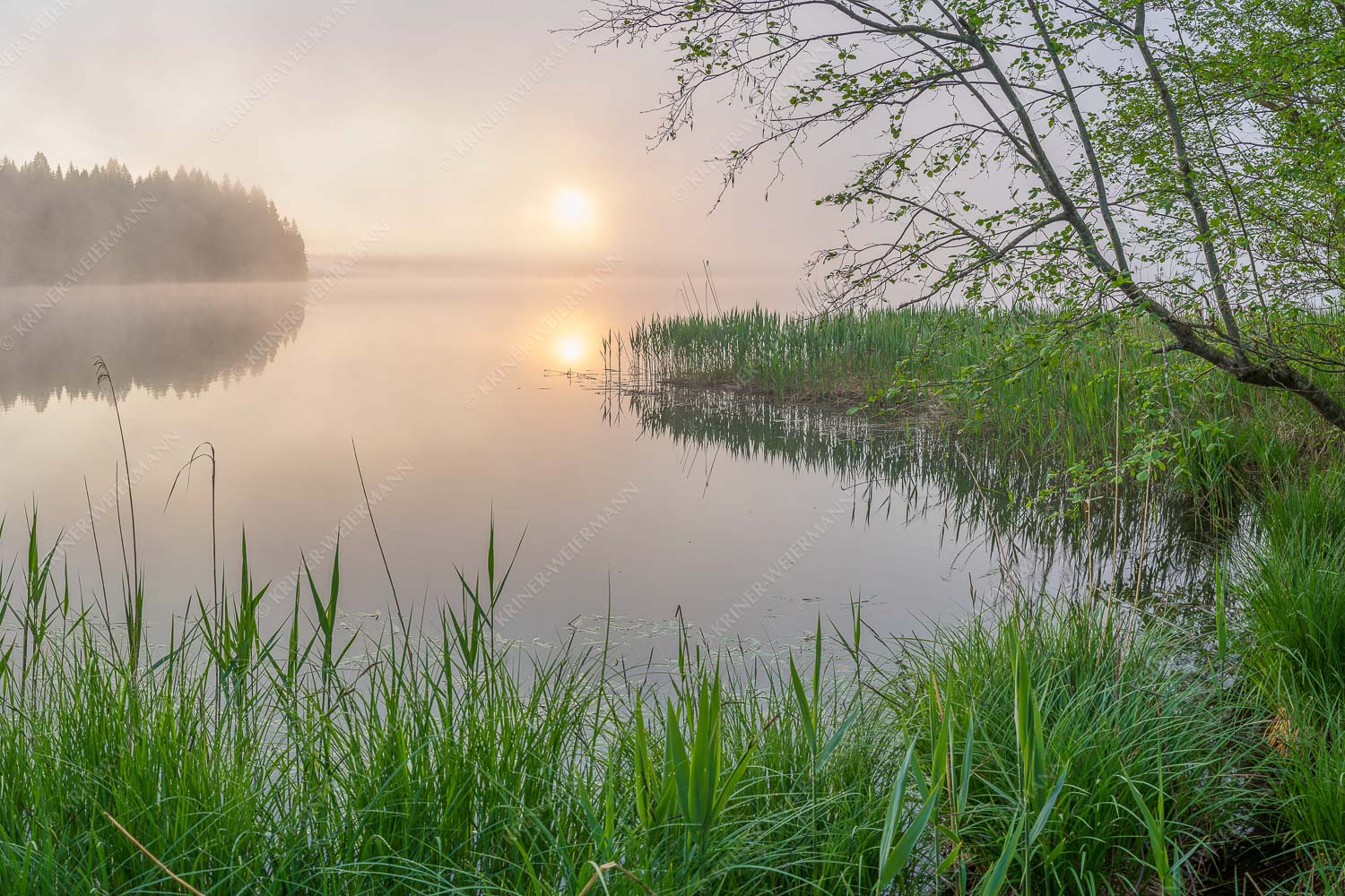 Hinterm See – Seitenverhältnis 3:2 — Nebelstimmung am Barmsee Morgentliche Nebelstimmung am Barmsee bei Krün