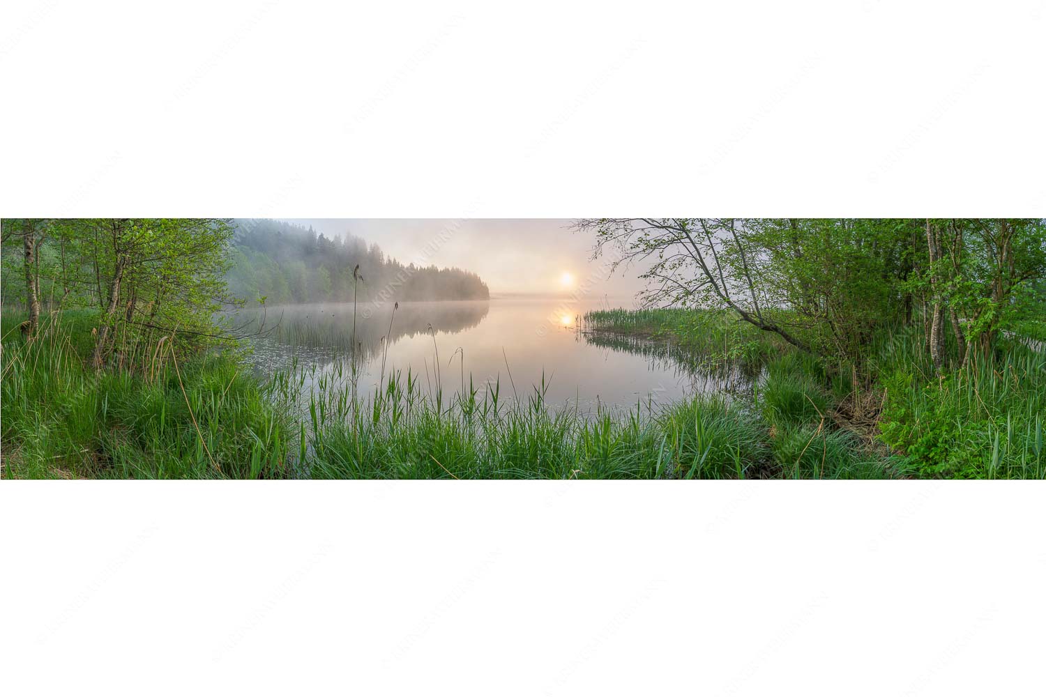 Hinterm See – Seitenverhältnis 4:1 — Nebelstimmung am Barmsee Morgentliche Nebelstimmung am Barmsee bei Krün