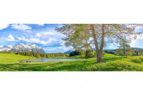 Schafe am Schmalensee mit Blick zum Karwendel - Idylle am See - Seitenverhältnis 3:1 - Schmalensee Schafe und Karwendel - weitere Infos unter https://www.kriner-weiermann.de