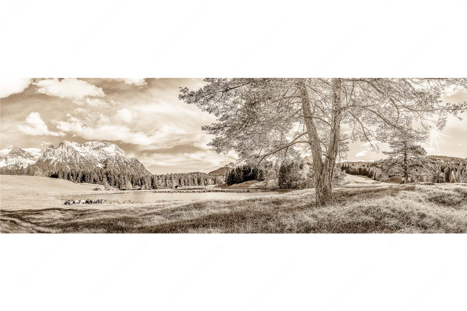 Schafe am Schmalensee mit Blick zum Karwendel