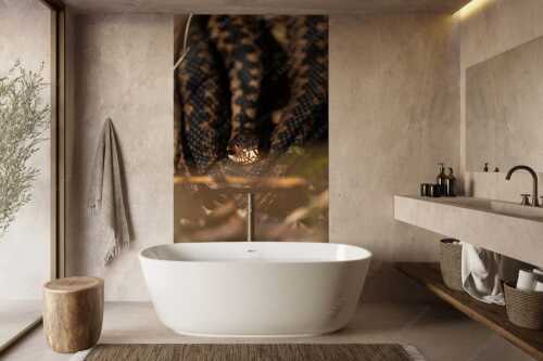 Kreuzotter (Vipera berus) im Kochler Moos - Im Fokus - Größe ca. 160x240cm, Seitenverhältnis 2:3 - Kreuzotter an der Loisach - weitere Infos unter https://www.kriner-weiermann.de