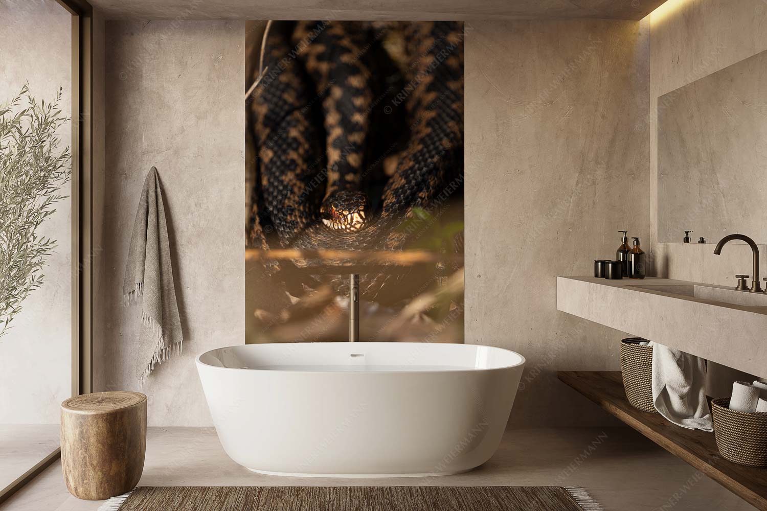 Kreuzotter (Vipera berus) im Kochler Moos - Im Fokus - Größe ca. 160x240cm, Seitenverhältnis 2:3 - Kreuzotter an der Loisach - weitere Infos unter https://www.kriner-weiermann.de