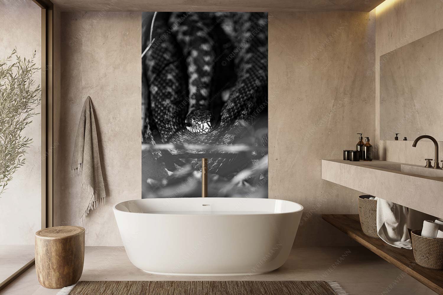 Kreuzotter (Vipera berus) im Kochler Moos - Im Fokus - Größe ca. 160x240cm, Seitenverhältnis 2:3 - Kreuzotter an der Loisach - weitere Infos unter https://www.kriner-weiermann.de