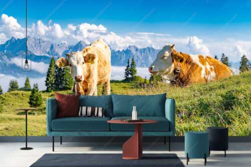 Jungvieh auf der Wallgaueralm mit Karwendelgebirge - Immer mit der Ruhe - Größe ca. 400x200cm, Seitenverhältnis 2: - Junge Rinder bei Wallgaueralm - weitere Infos unter https://www.kriner-weiermann.de