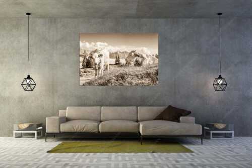 Jungvieh auf der Wallgaueralm mit Karwendelgebirge - Immer mit der Ruhe - Größe ca. 180x120cm, Seitenverhältnis 3: - Junge Rinder bei Wallgaueralm - weitere Infos unter https://www.kriner-weiermann.de