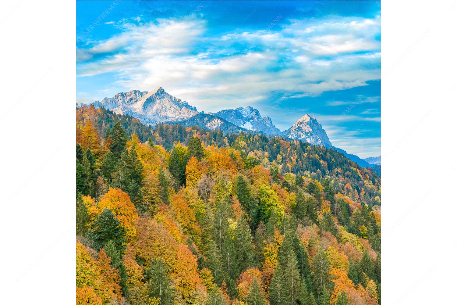 Indian Summer Dahoam – Seitenverhältnis 1:1 — Herbstfärbung mit Alpspitze Zugspitze und Waxenstein Blick über Herbstwald zum Zugspitzmassiv im Wettersteingebirge