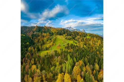 Blick über Herbstwald zum Zugspitzmassiv im Wettertsteingebirge - Indian Summer Dahoam II - Seitenverhältnis 1:1 - Herbstfarben am Wamberg mit Wetterstein - weitere Infos unter https://www.kriner-weiermann.de