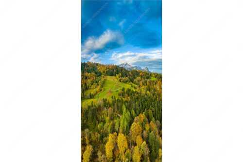 Blick über Herbstwald zum Zugspitzmassiv im Wettertsteingebirge - Indian Summer Dahoam II - Seitenverhältnis 1:2 - Herbstfarben am Wamberg mit Wetterstein - weitere Infos unter https://www.kriner-weiermann.de