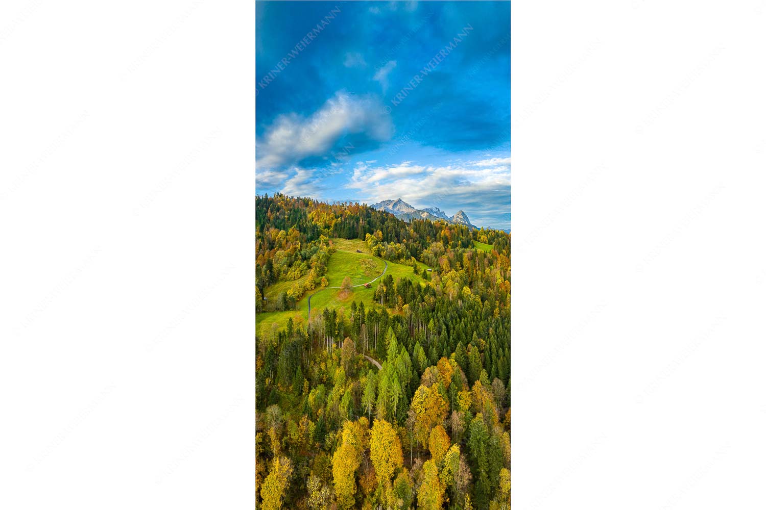 Indian Summer Dahoam II – Seitenverhältnis 1:2 — Herbstfarben am Wamberg mit Wetterstein Blick über Herbstwald zum Zugspitzmassiv im Wettertsteingebirge