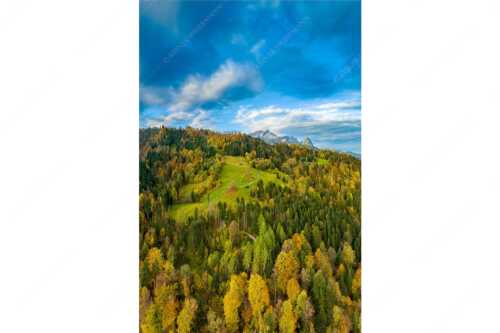 Blick über Herbstwald zum Zugspitzmassiv im Wettertsteingebirge - Indian Summer Dahoam II - Seitenverhältnis 2:3 - Herbstfarben am Wamberg mit Wetterstein - weitere Infos unter https://www.kriner-weiermann.de
