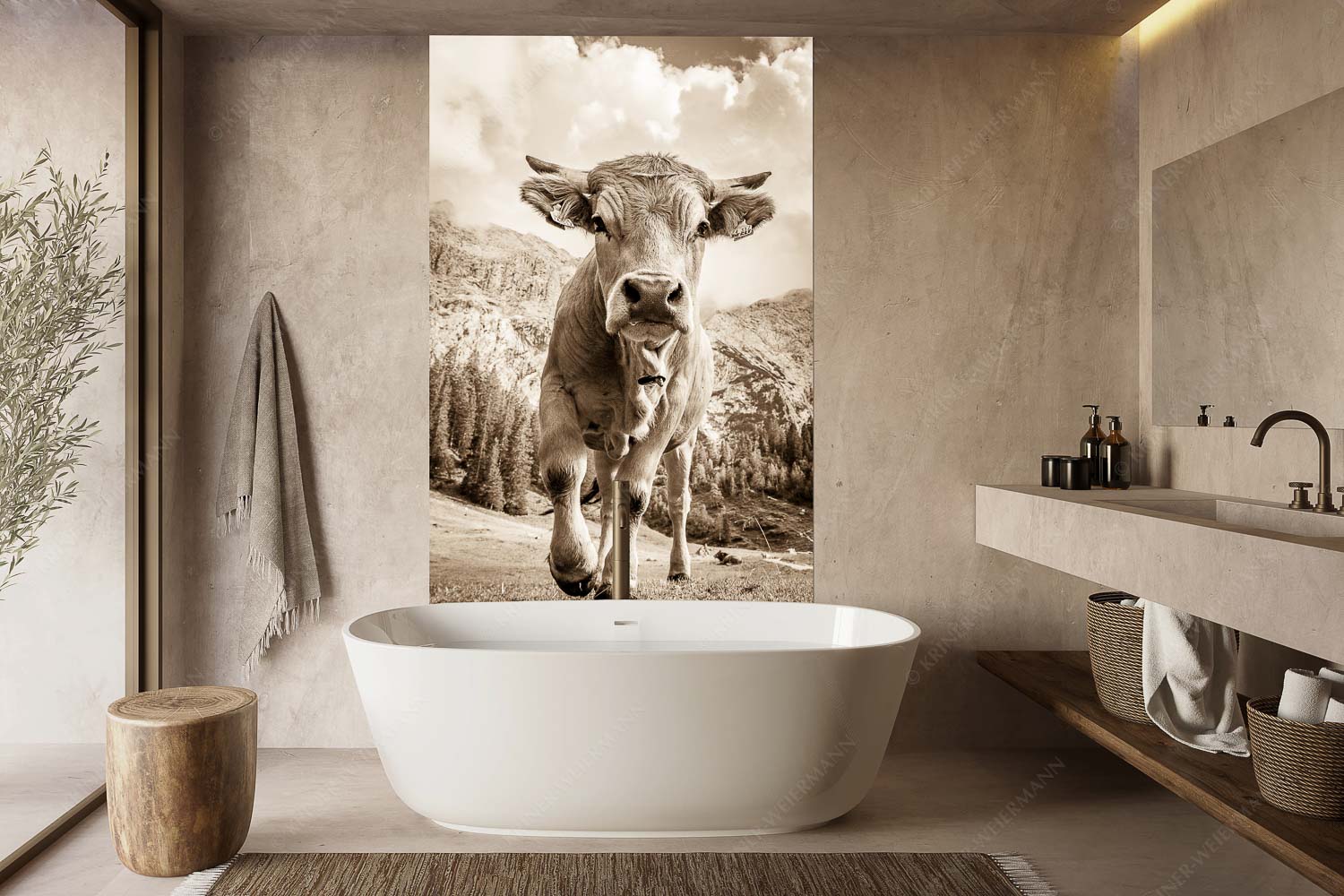 Murnau Werdenfelser Rind auf der Wettersteinalm - Jung und Neugierig - Größe ca. 160x240cm, Seitenverhältnis 2: - Murnau-Werdenfelser Rind - weitere Infos unter https://www.kriner-weiermann.de