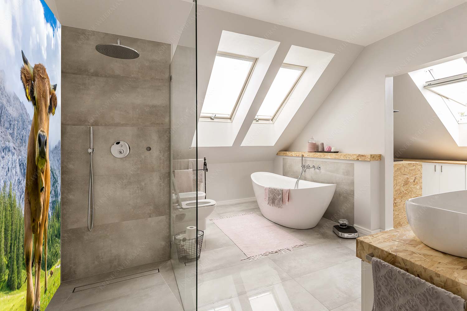 Murnau Werdenfelser Rind auf der Wettersteinalm - Jung und Neugierig - Größe ca. 150x225cm, Seitenverhältnis 2: - Murnau-Werdenfelser Rind - weitere Infos unter https://www.kriner-weiermann.de