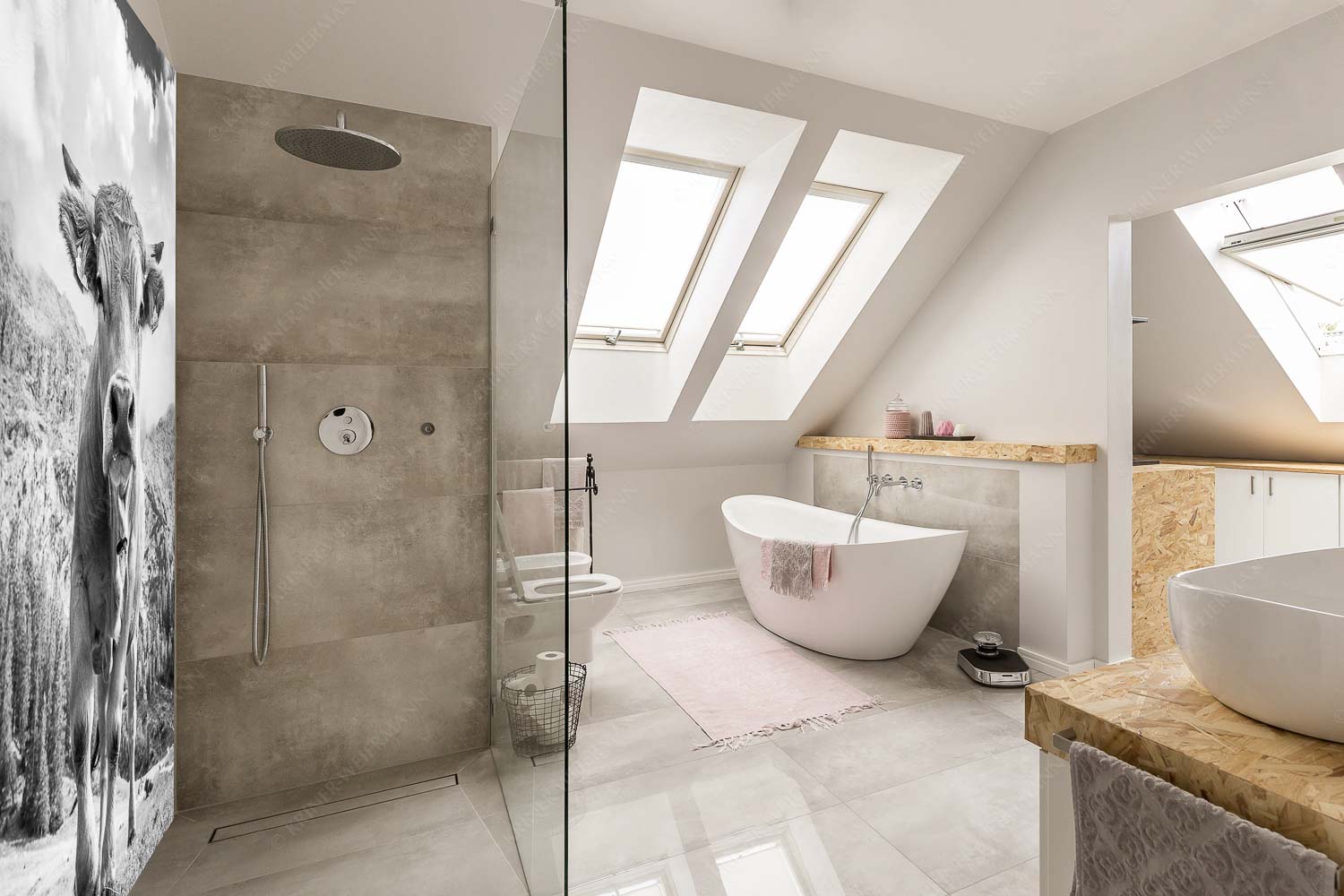 Murnau Werdenfelser Rind auf der Wettersteinalm - Jung und Neugierig - Größe ca. 150x225cm, Seitenverhältnis 2: - Murnau-Werdenfelser Rind - weitere Infos unter https://www.kriner-weiermann.de