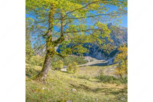 Letzte Sonne im Oberreintal im Wetterstein - Keiner mehr da! - Seitenverhältnis 1:1 - Herbst Ahorn mit Oberreintalhütte - weitere Infos unter https://www.kriner-weiermann.de