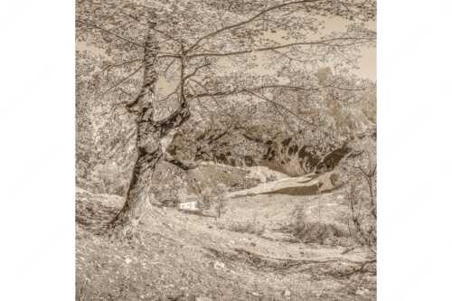 Letzte Sonne im Oberreintal im Wetterstein - Keiner mehr da! - Seitenverhältnis 1:1 - Herbst Ahorn mit Oberreintalhütte - weitere Infos unter https://www.kriner-weiermann.de
