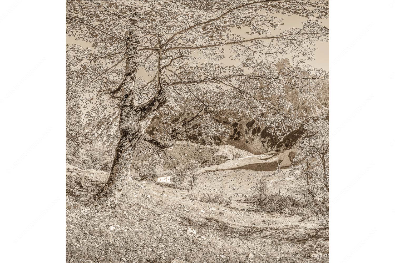 Keiner mehr da! – Seitenverhältnis 1:1 — Herbst Ahorn mit Oberreintalhütte Letzte Sonne im Oberreintal im Wetterstein