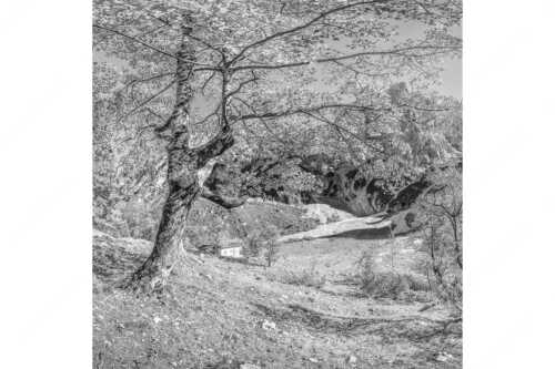 Letzte Sonne im Oberreintal im Wetterstein - Keiner mehr da! - Seitenverhältnis 1:1 - Herbst Ahorn mit Oberreintalhütte - weitere Infos unter https://www.kriner-weiermann.de