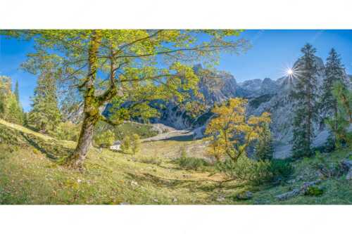 Letzte Sonne im Oberreintal im Wetterstein - Keiner mehr da! - Seitenverhältnis 2:1 - Herbst Ahorn mit Oberreintalhütte - weitere Infos unter https://www.kriner-weiermann.de