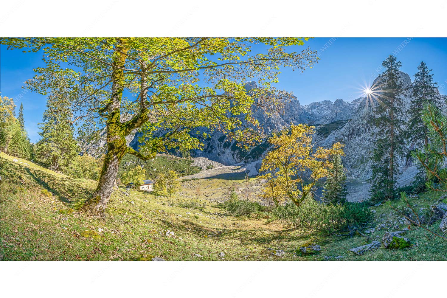 Keiner mehr da! – Seitenverhältnis 2:1 — Herbst Ahorn mit Oberreintalhütte Letzte Sonne im Oberreintal im Wetterstein