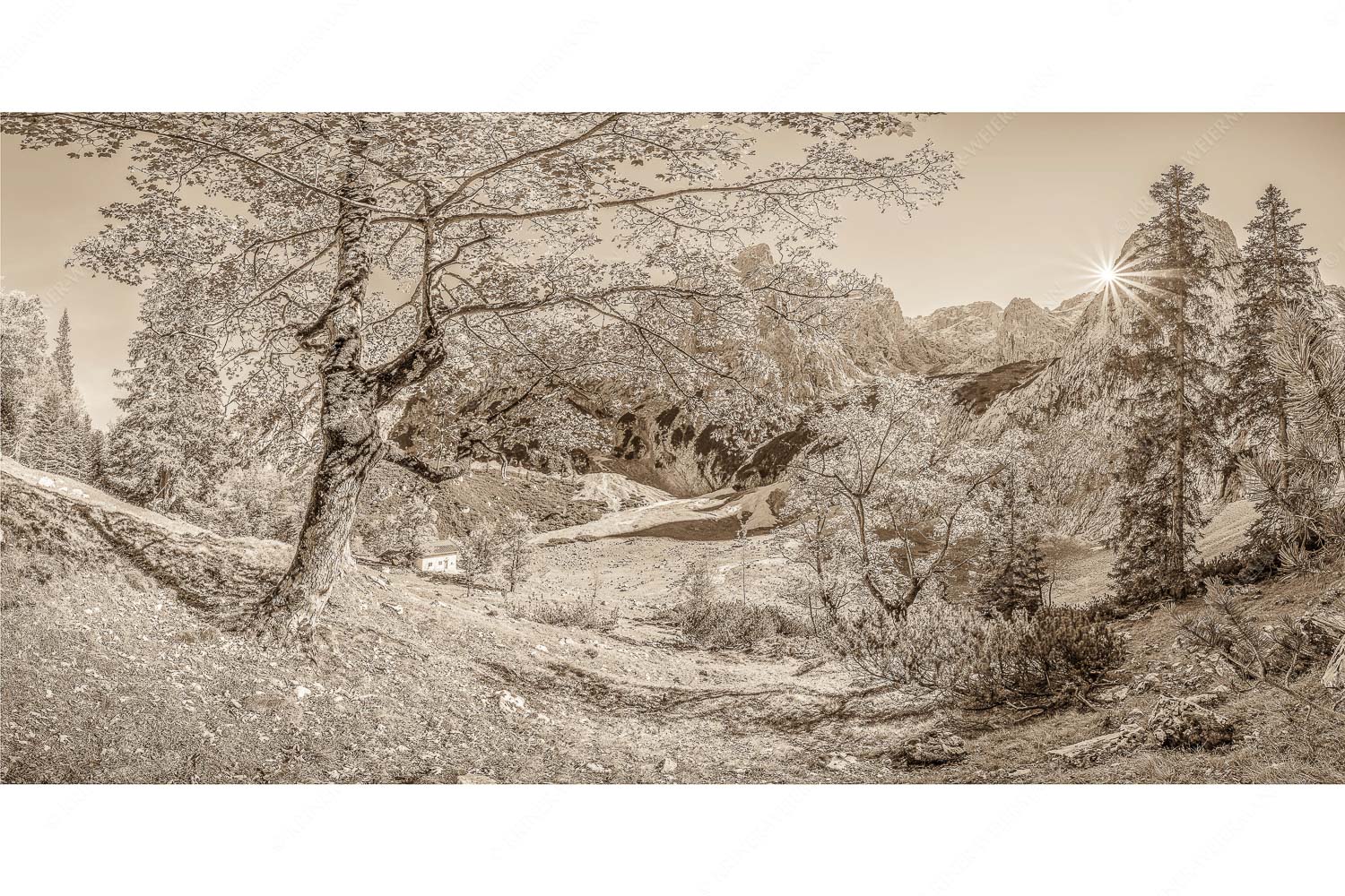 Keiner mehr da! – Seitenverhältnis 2:1 — Herbst Ahorn mit Oberreintalhütte Letzte Sonne im Oberreintal im Wetterstein