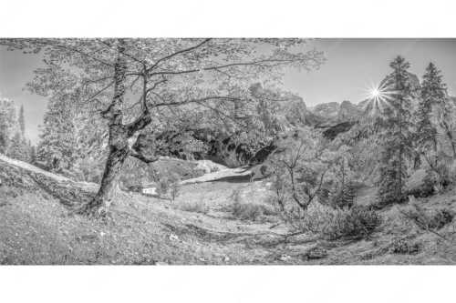 Letzte Sonne im Oberreintal im Wetterstein - Keiner mehr da! - Seitenverhältnis 2:1 - Herbst Ahorn mit Oberreintalhütte - weitere Infos unter https://www.kriner-weiermann.de