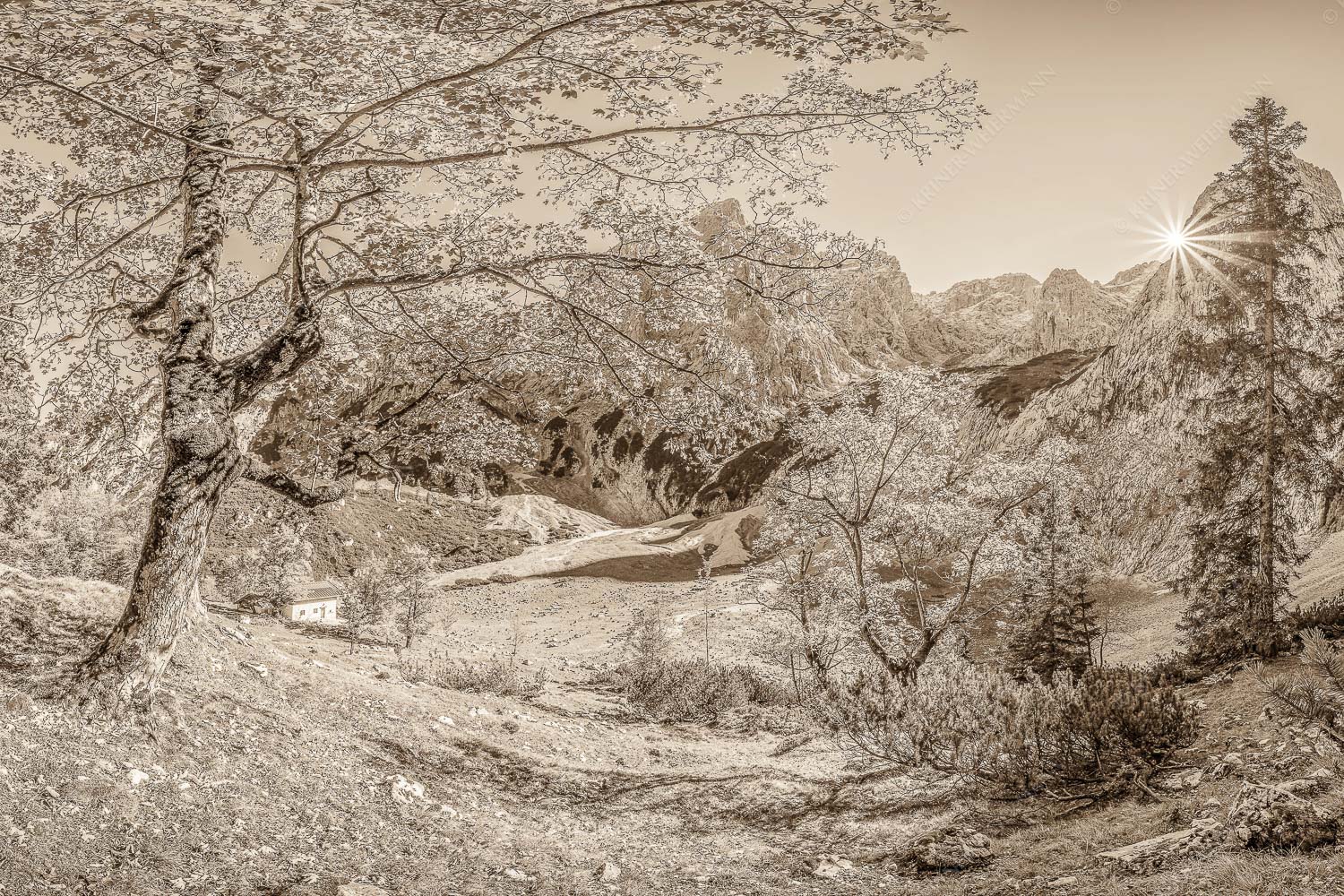 Keiner mehr da! – Seitenverhältnis 3:2 — Herbst Ahorn mit Oberreintalhütte Letzte Sonne im Oberreintal im Wetterstein