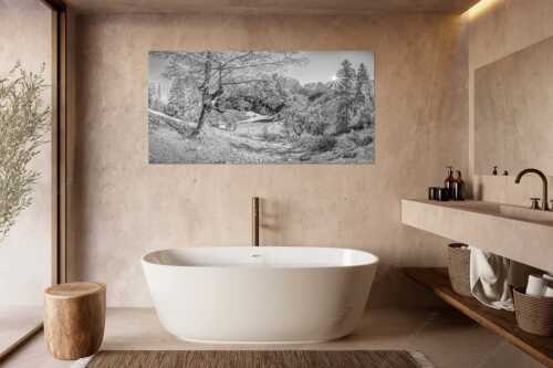 Letzte Sonne im Oberreintal im Wetterstein - Keiner mehr da! - Wandbild - Größe ca. 180x90cm, Seitenverhältnis 2:1 - Herbst Ahorn mit Oberreintalhütte - weitere Infos unter https://www.kriner-weiermann.de