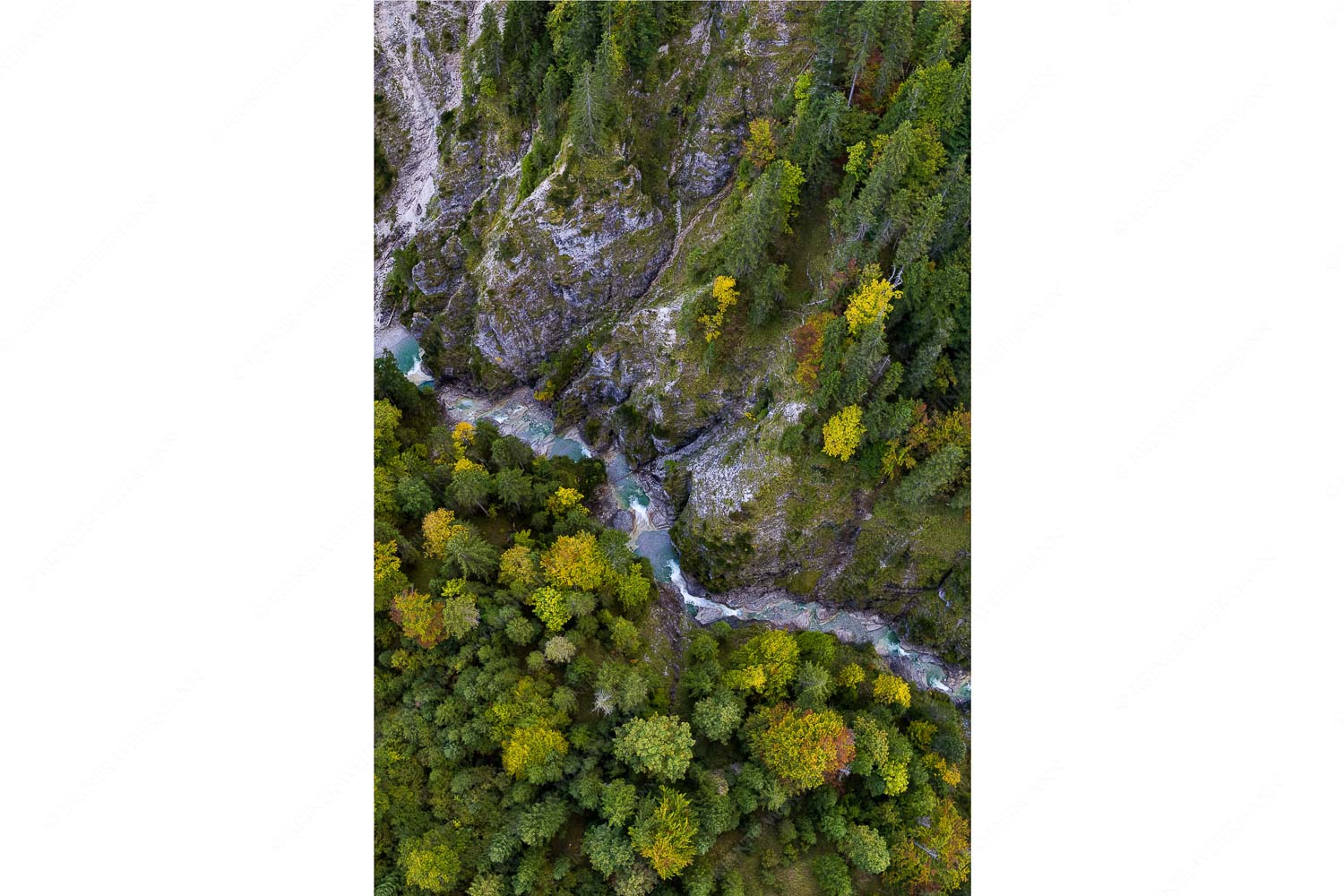 Klammheimlich – Seitenverhältnis 2:3 — Herbstfärbung in der Finzklamm Die ersten Herbstboten in der Finzklamm im Estergebirge