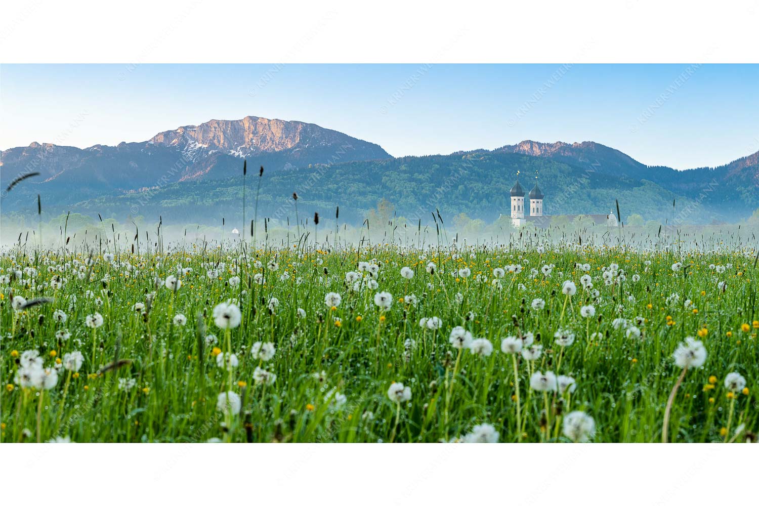 Klosters Vorgarten – Seitenverhältnis 2:1 — Löwenzahn Benediktbeuern Benediktenwand Kloster Benediktbeuern mit Benediktenwand im Hintergrund