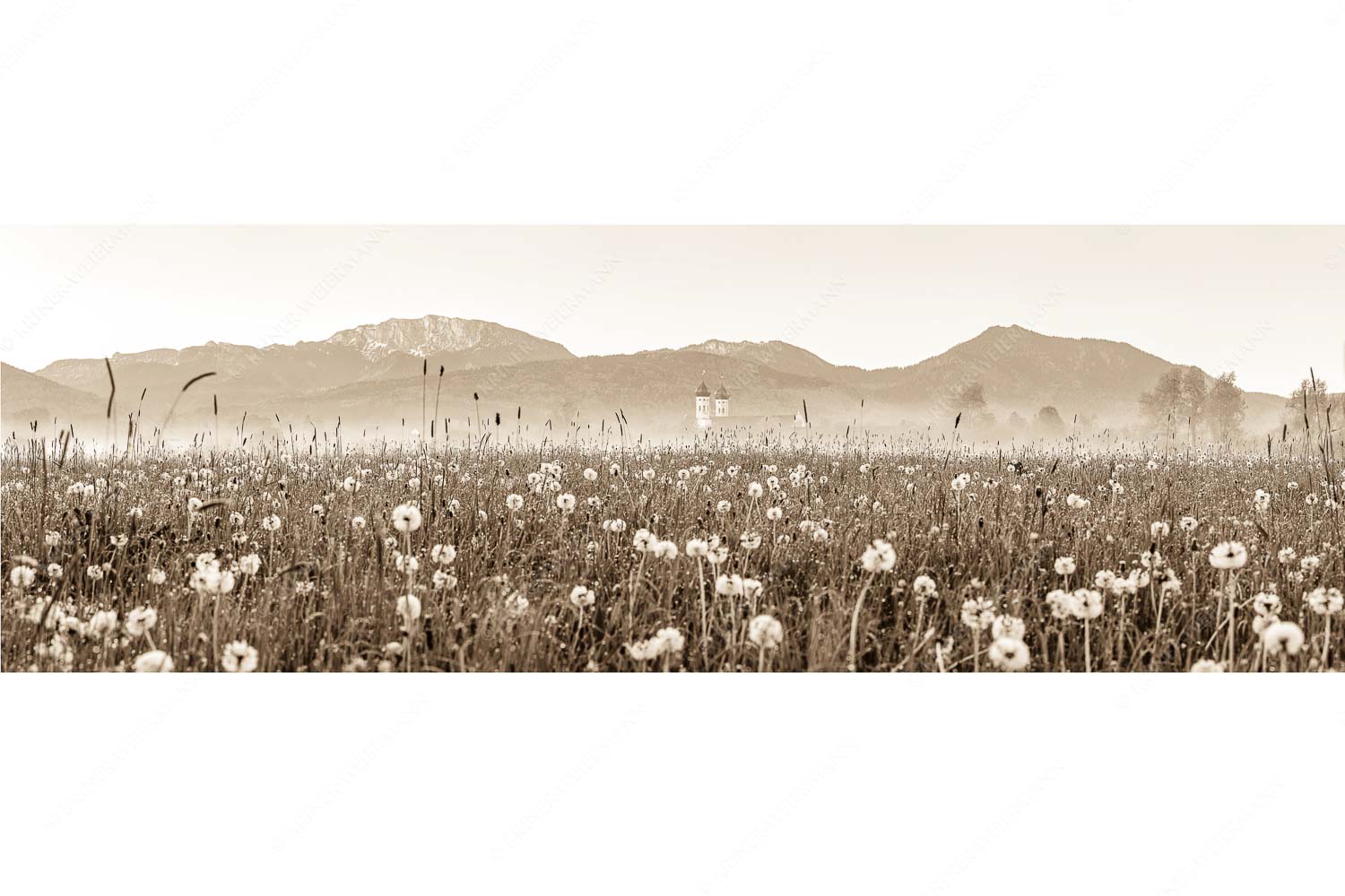 Klosters Vorgarten – Seitenverhältnis 3:1 — Löwenzahn Benediktbeuern Benediktenwand Kloster Benediktbeuern mit Benediktenwand im Hintergrund