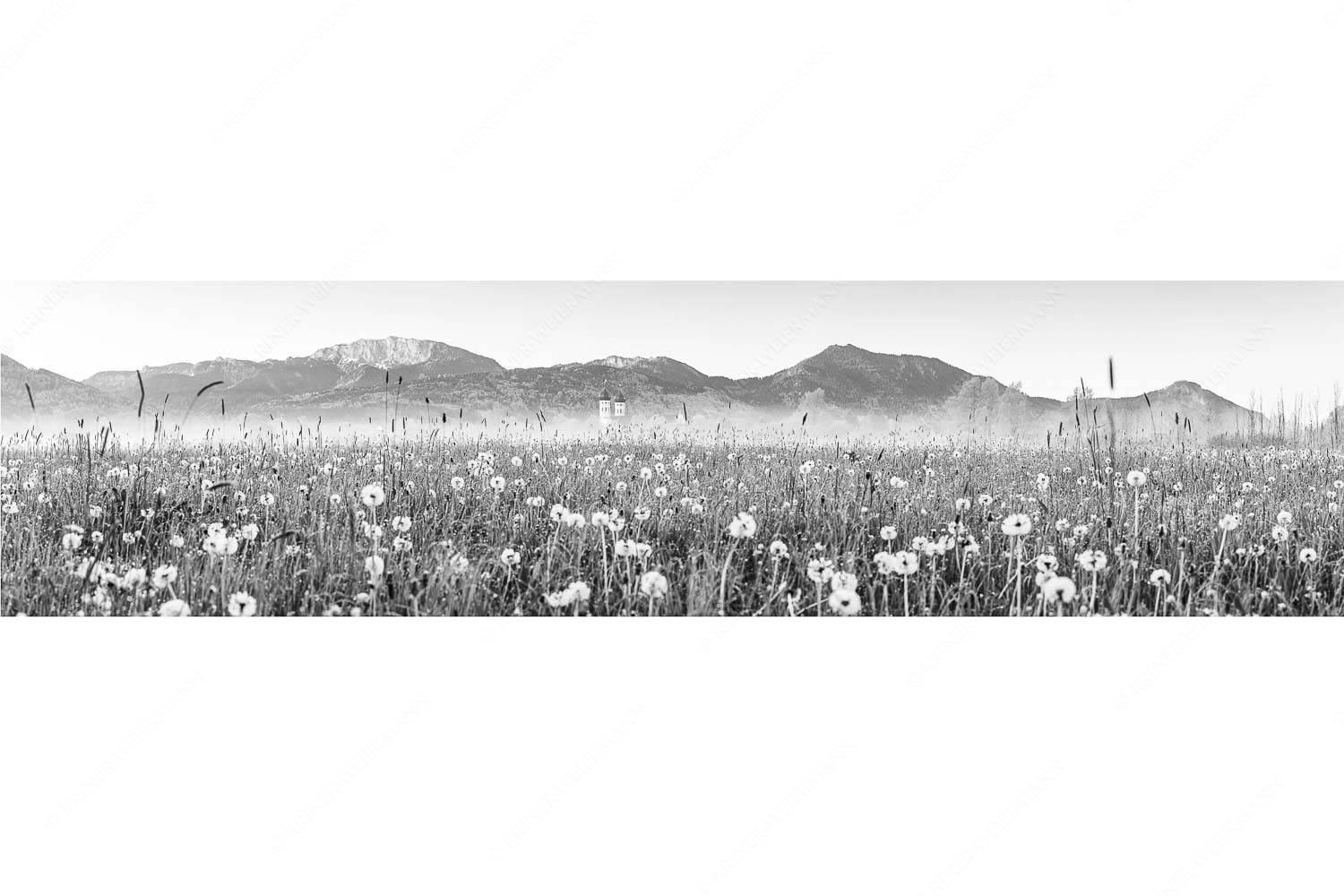 Kloster Benediktbeuern mit Benediktenwand im Hintergrund - Klosters Vorgarten - Seitenverhältnis 4:1 - Löwenzahn Benediktbeuern Benediktenwand - weitere Infos unter https://www.kriner-weiermann.de