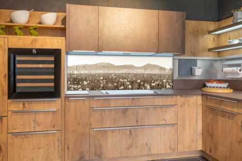 Kloster Benediktbeuern mit Benediktenwand im Hintergrund - Klosters Vorgarten - Größe ca. 180x60cm, Seitenverhältnis 3:1 - Löwenzahn Benediktbeuern Benediktenwand - weitere Infos unter https://www.kriner-weiermann.de