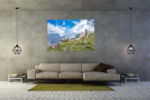 Bergschafe auf Herbstweide am Stuiben im Wettersteingebirge - Letzte Hochweide - Größe ca. 180x120cm, Seitenverhältnis 3:2 - Bergschafe am Stuiben im Wetterstein - weitere Infos unter https://www.kriner-weiermann.de