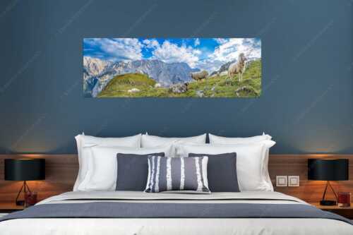 Bergschafe auf Herbstweide am Stuiben im Wettersteingebirge - Letzte Hochweide - Größe ca. 180x60cm, Seitenverhältnis 3:1 - Bergschafe am Stuiben im Wetterstein - weitere Infos unter https://www.kriner-weiermann.de