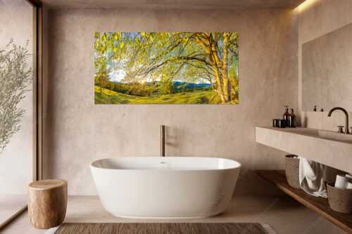 Warmes Licht in den frischen Buchenblättern - Licht in der Buche I - Wandbild - Größe ca. 180x90cm, Seitenverhältnis 2:1 - Buche mit Sonnenuntergang - weitere Infos unter https://www.kriner-weiermann.de