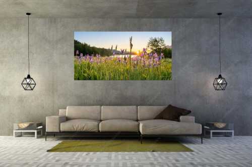 Schwertlilien im Sonnenaufgang - Lila - Größe ca. 200x100cm, Seitenverhältnis 2:1 - Schwertlilien - weitere Infos unter https://www.kriner-weiermann.de
