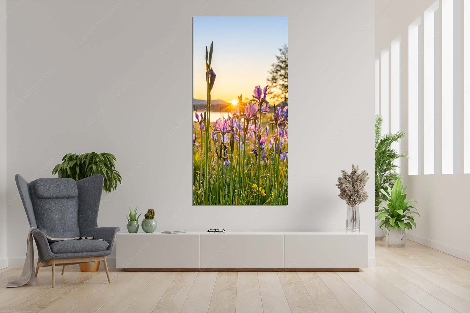 Lila – Größe ca. 90x180cm, Seitenverhältnis 1:2 — Schwertlilien Schwertlilien im Sonnenaufgang - Lila - Größe ca. 90x180cm, Seitenverhältnis 1:2 - Schwertlilien - weitere Infos unter https://www.kriner-weiermann.de