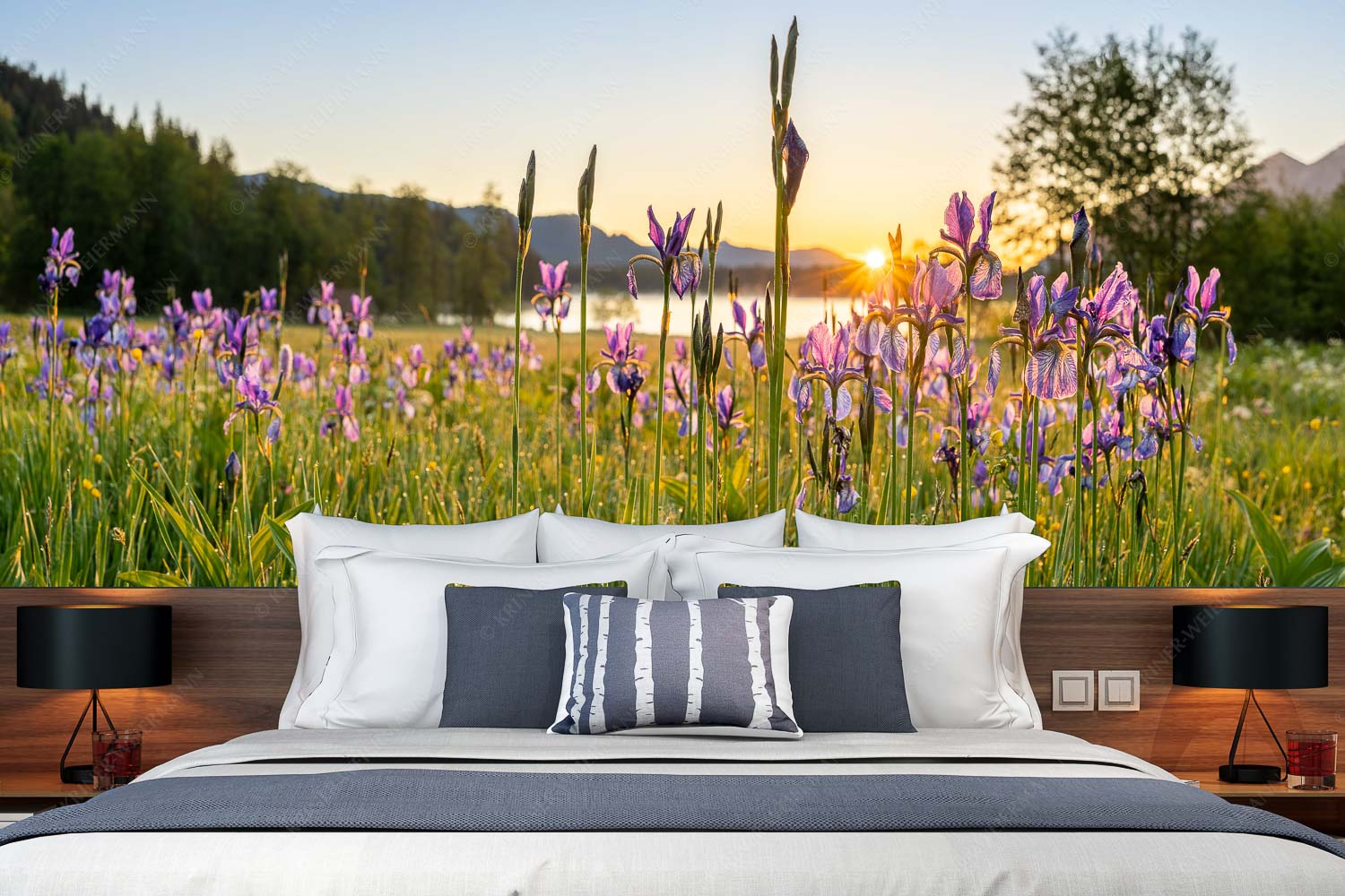 Schwertlilien im Sonnenaufgang - Lila - Größe ca. 350x140cm, Seitenverhältnis 2,5:1 - Schwertlilien - weitere Infos unter https://www.kriner-weiermann.de